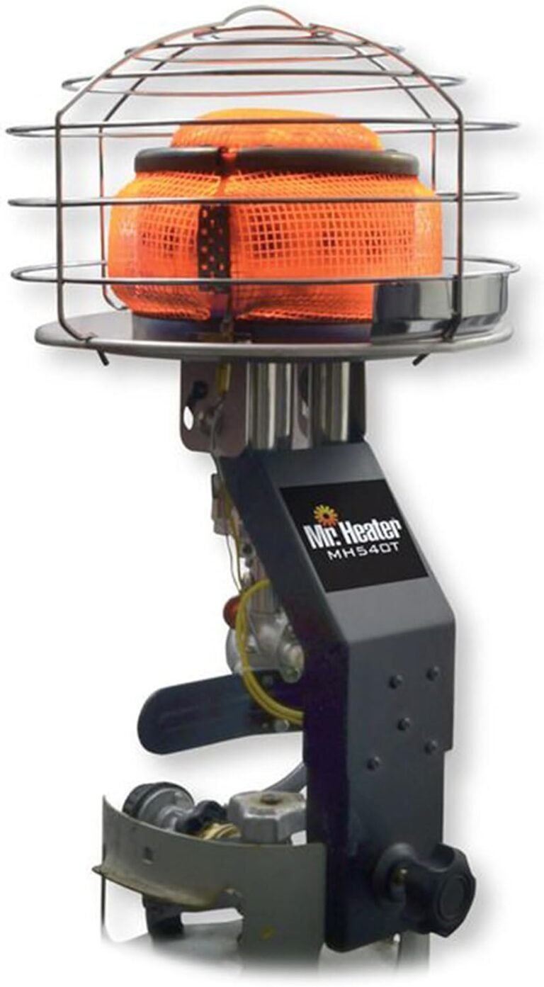 B01BE8FVUK 0 The Beautiful Berry