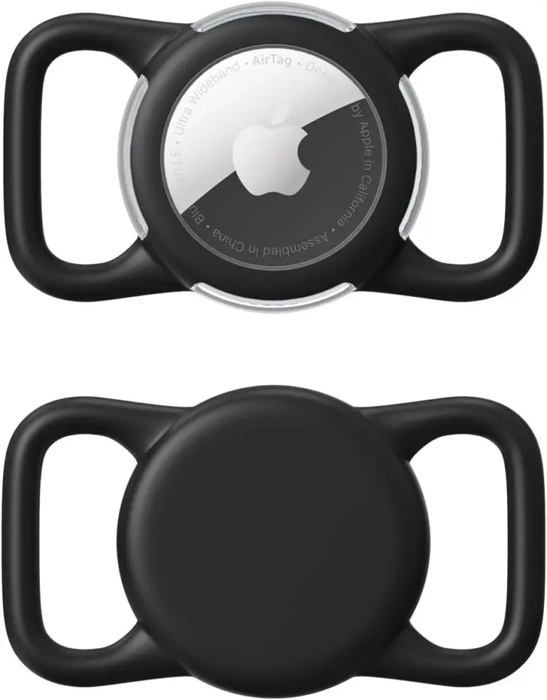 B0CTT9WF4X 0 The Beautiful Berry