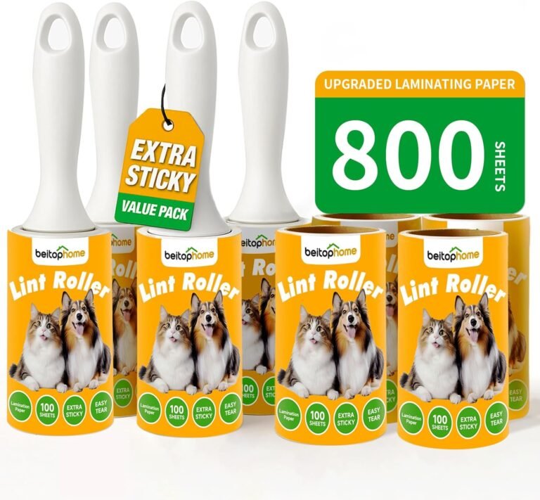 B0DXL52T9Q 0 The Beautiful Berry