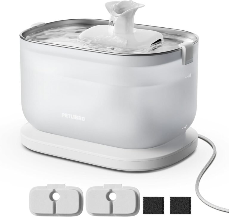 B0F32Z6V7L 0 The Beautiful Berry