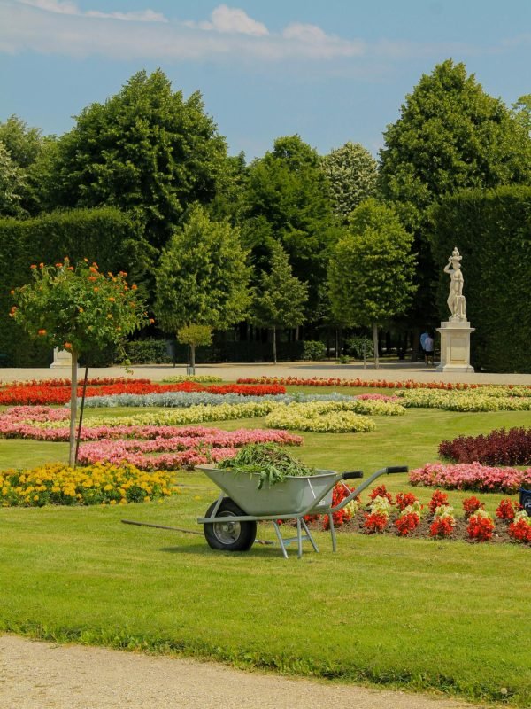 pexels-patrizio-scialabba-422938745-15148744